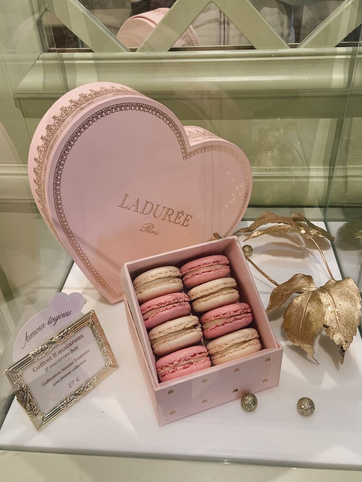 Macarons gourmet